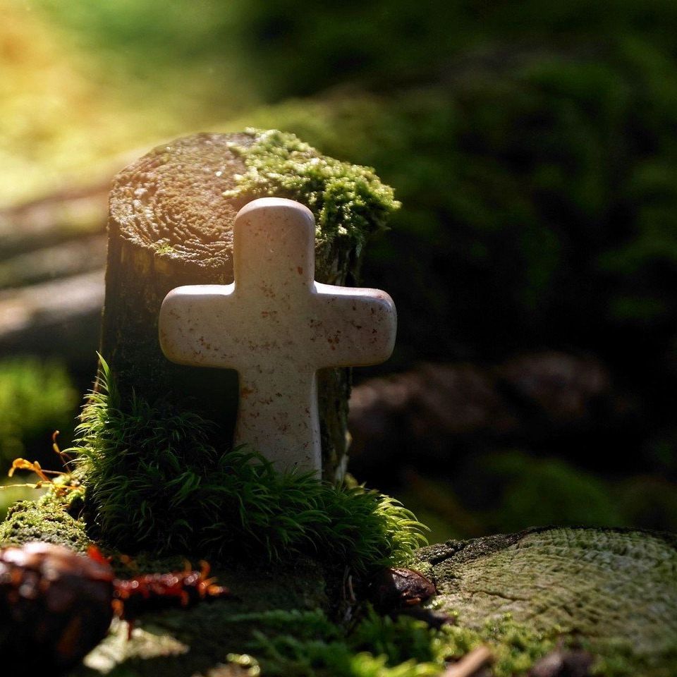 Steinernes Kreuz steht auf einem mit Moos bedeckten Baumstumpf im Wald, umgeben von grünem Laub und sanftem Licht – Symbol für Beerdigungg